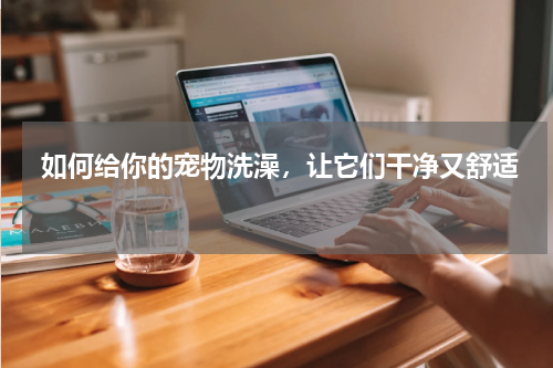  如何给你的宠物洗澡，让它们干净又舒适 