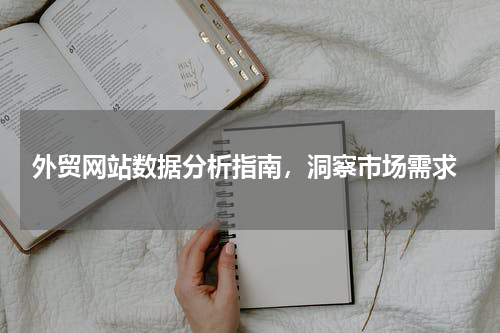  外贸网站数据分析指南，洞察市场需求