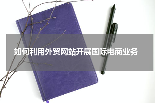  如何利用外贸网站开展国际电商业务