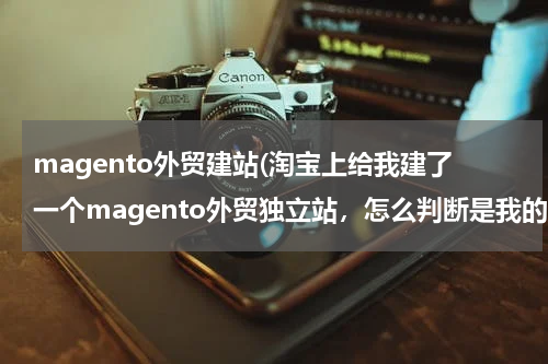 magento外贸建站(淘宝上给我建了一个magento外贸独立站，怎么判断是我的版权)
