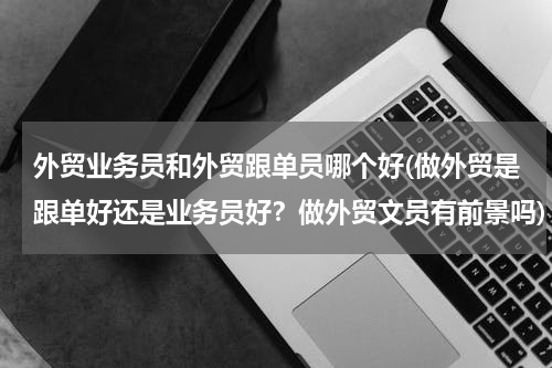 外贸业务员和外贸跟单员哪个好(做外贸是跟单好还是业务员好？做外贸文员有前景吗)