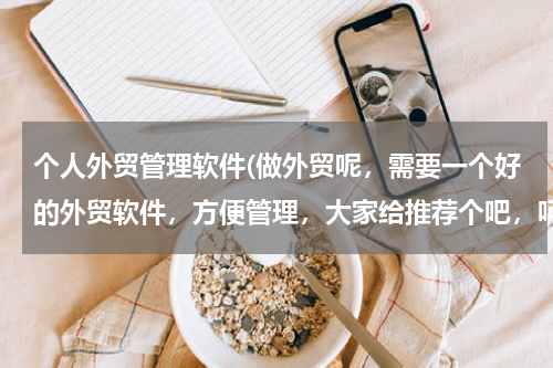 个人外贸管理软件(做外贸呢，需要一个好的外贸软件，方便管理，大家给推荐个吧，呵呵)