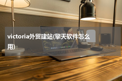 victoria外贸建站(擎天软件怎么用)