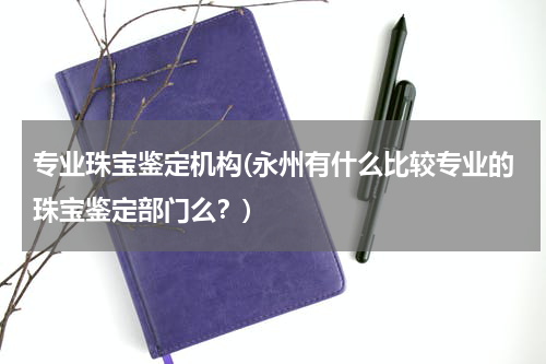 专业珠宝鉴定机构(永州有什么比较专业的珠宝鉴定部门么？)