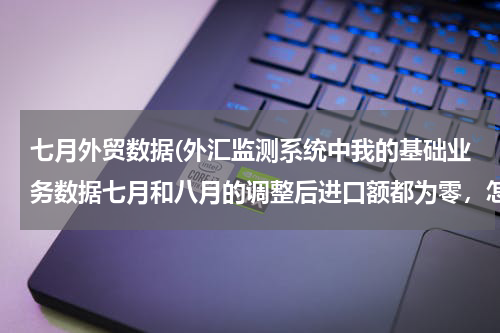 七月外贸数据(外汇监测系统中我的基础业务数据七月和八月的调整后进口额都为零，怎么回事？)