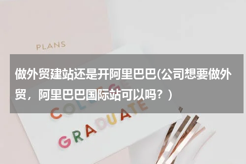 做外贸建站还是开阿里巴巴(公司想要做外贸，阿里巴巴国际站可以吗？)