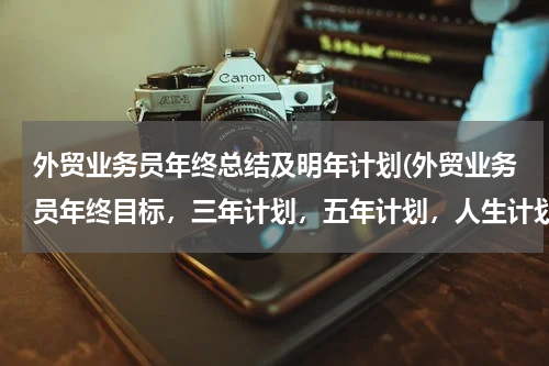 外贸业务员年终总结及明年计划(外贸业务员年终目标，三年计划，五年计划，人生计划)