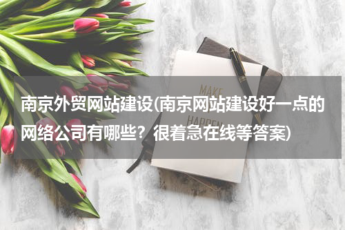 南京外贸网站建设(南京网站建设好一点的网络公司有哪些？很着急在线等答案)