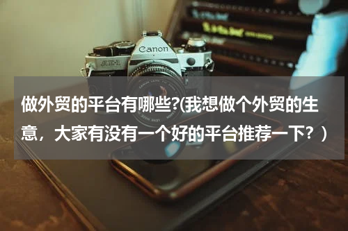 做外贸的平台有哪些?(我想做个外贸的生意，大家有没有一个好的平台推荐一下？)