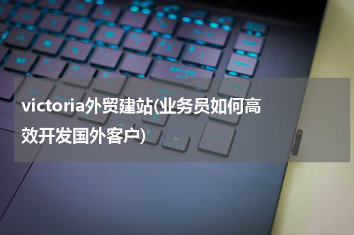 victoria外贸建站(业务员如何高效开发国外客户)