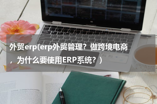 外贸erp(erp外贸管理？做跨境电商，为什么要使用ERP系统？)