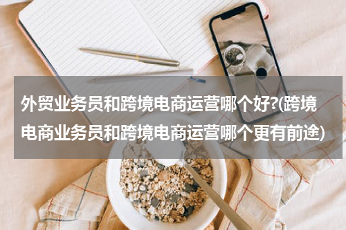 外贸业务员和跨境电商运营哪个好?(跨境电商业务员和跨境电商运营哪个更有前途)