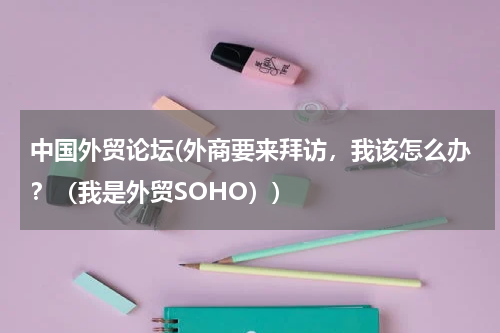 中国外贸论坛(外商要来拜访，我该怎么办？（我是外贸SOHO）)