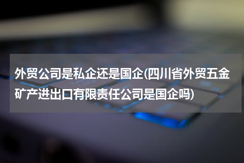 外贸公司是私企还是国企(四川省外贸五金矿产进出口有限责任公司是国企吗)