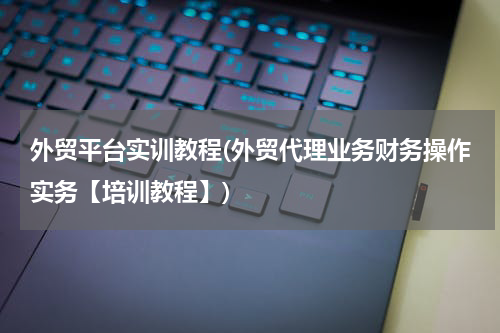 外贸平台实训教程(外贸代理业务财务操作实务【培训教程】)