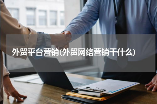 外贸平台营销(外贸网络营销干什么)