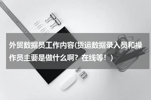 外贸数据员工作内容(货运数据录入员和操作员主要是做什么啊？在线等！)