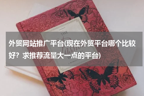 外贸网站推广平台(现在外贸平台哪个比较好？求推荐流量大一点的平台)