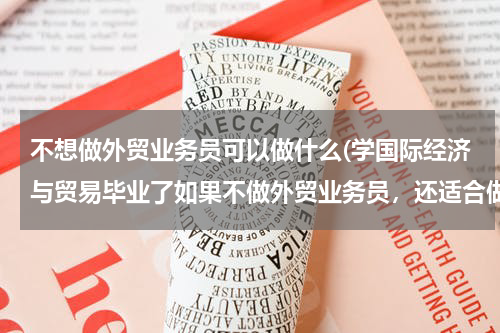 不想做外贸业务员可以做什么(学国际经济与贸易毕业了如果不做外贸业务员，还适合做什么工作？)