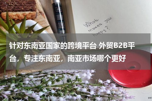 针对东南亚国家的跨境平台 外贸B2B平台，专注东南亚，南亚市场哪个更好