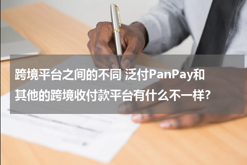 跨境平台之间的不同 泛付PanPay和其他的跨境收付款平台有什么不一样？