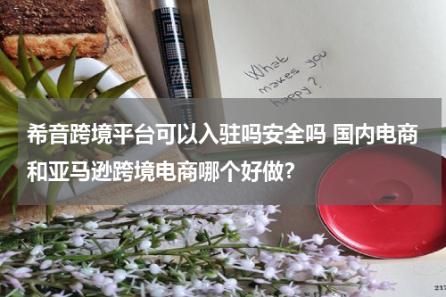 希音跨境平台可以入驻吗安全吗 国内电商和亚马逊跨境电商哪个好做？
