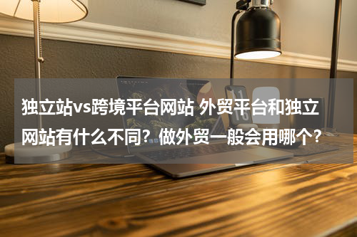 独立站vs跨境平台网站 外贸平台和独立网站有什么不同？做外贸一般会用哪个？