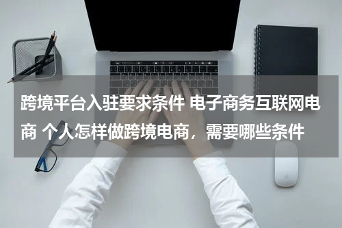 跨境平台入驻要求条件 电子商务互联网电商 个人怎样做跨境电商，需要哪些条件