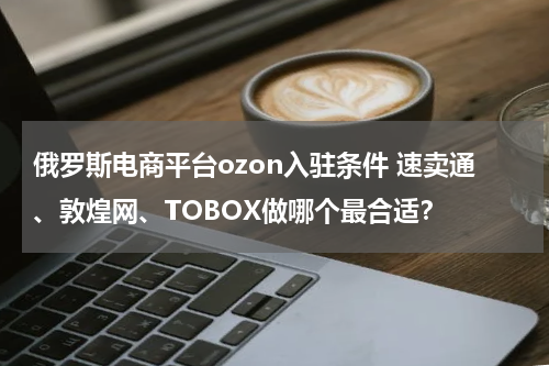 俄罗斯电商平台ozon入驻条件 速卖通、敦煌网、TOBOX做哪个最合适？