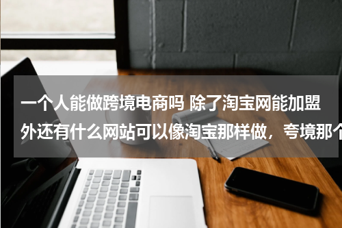 一个人能做跨境电商吗 除了淘宝网能加盟外还有什么网站可以像淘宝那样做，夸境那个能个人驻入开店呢？