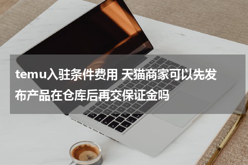 temu入驻条件费用 天猫商家可以先发布产品在仓库后再交保证金吗