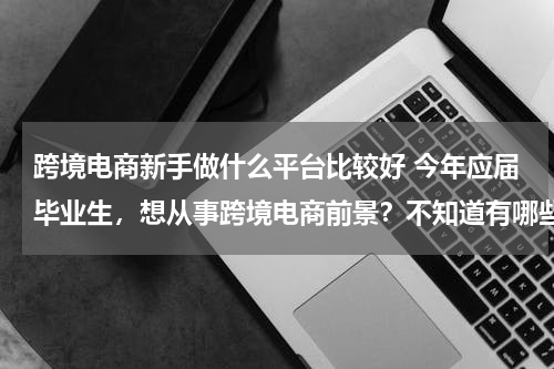 跨境电商新手做什么平台比较好 今年应届毕业生，想从事跨境电商前景？不知道有哪些平台可以作为个人进货渠道的呢？