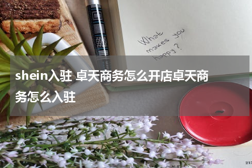 shein入驻 卓天商务怎么开店卓天商务怎么入驻