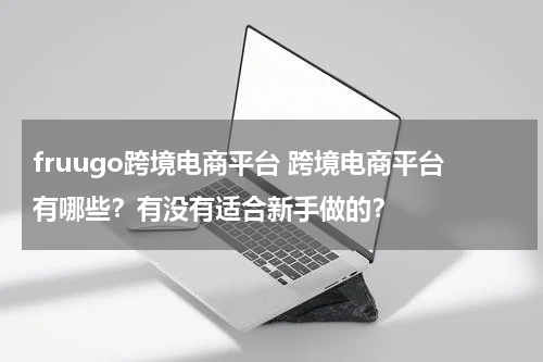 fruugo跨境电商平台 跨境电商平台有哪些？有没有适合新手做的？