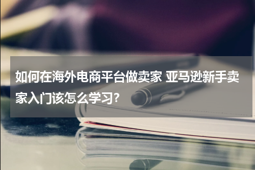 如何在海外电商平台做卖家 亚马逊新手卖家入门该怎么学习？