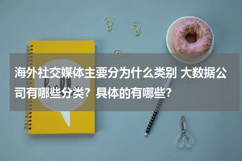 海外社交媒体主要分为什么类别 大数据公司有哪些分类？具体的有哪些？