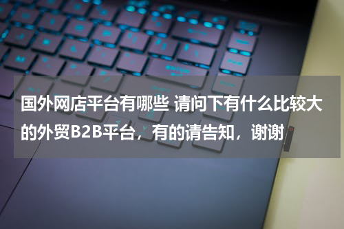 国外网店平台有哪些 请问下有什么比较大的外贸B2B平台，有的请告知，谢谢
