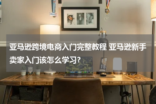 亚马逊跨境电商入门完整教程 亚马逊新手卖家入门该怎么学习？