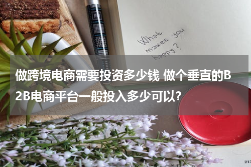 做跨境电商需要投资多少钱 做个垂直的B2B电商平台一般投入多少可以？