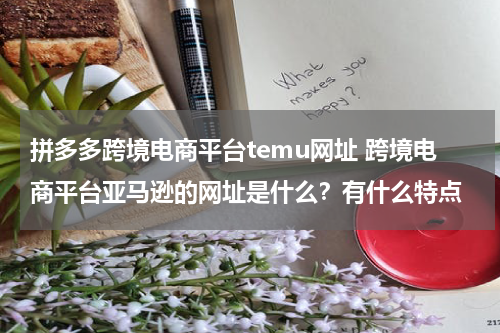 拼多多跨境电商平台temu网址 跨境电商平台亚马逊的网址是什么？有什么特点