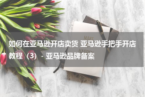 如何在亚马逊开店卖货 亚马逊手把手开店教程（3）- 亚马逊品牌备案