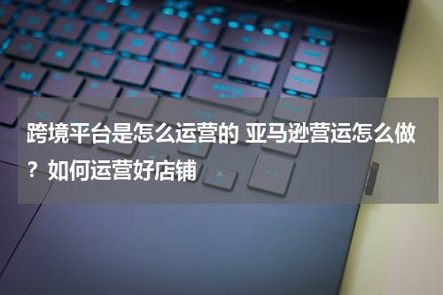 跨境平台是怎么运营的 亚马逊营运怎么做？如何运营好店铺