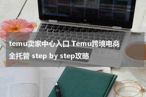 temu卖家中心入口 Temu跨境电商全托管 step by step攻略