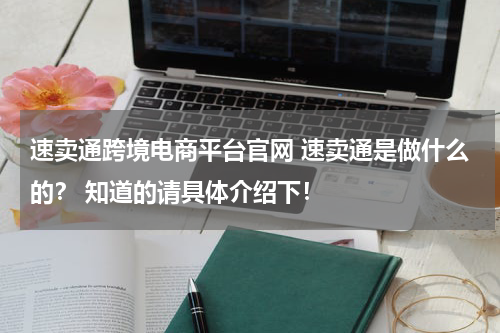 速卖通跨境电商平台官网 速卖通是做什么的？ 知道的请具体介绍下！