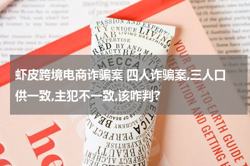 虾皮跨境电商诈骗案 四人诈骗案,三人口供一致,主犯不一致,该咋判?