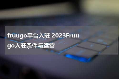 fruugo平台入驻 2023Fruugo入驻条件与运营
