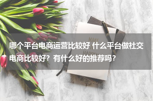 哪个平台电商运营比较好 什么平台做社交电商比较好？有什么好的推荐吗？