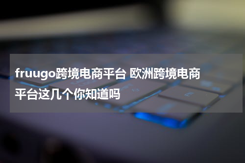 fruugo跨境电商平台 欧洲跨境电商平台这几个你知道吗